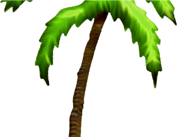 Transparent Cartoon Palm Tree - Clip Art (640x480), Png Download