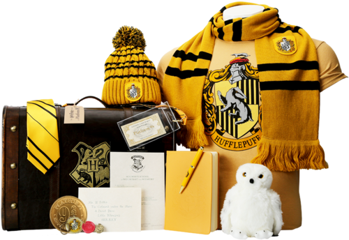 Harry Potter Hufflepuff (528x600), Png Download