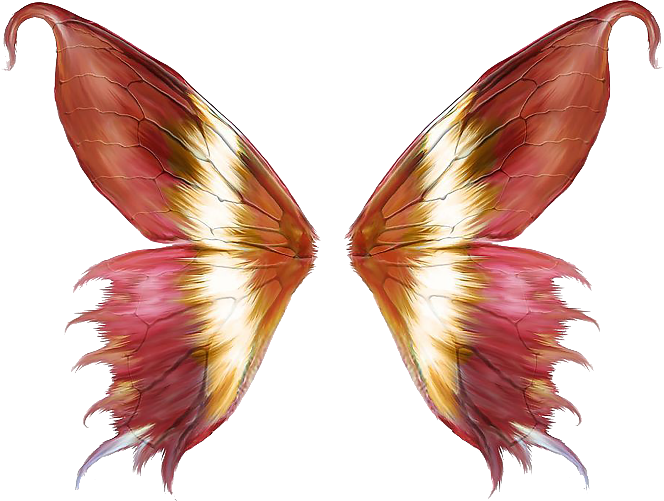 Pink Butterfly Transprent Png Free Download Pollinator - Butterfly Wings Png (2362x2362), Png Download