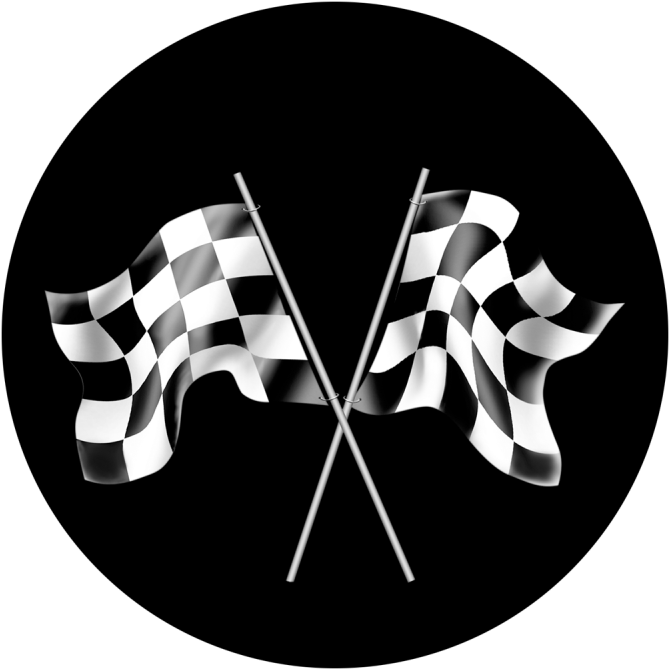 Racing Flag - Soccer Goalkeeper Gloves Vector (800x800), Png Download