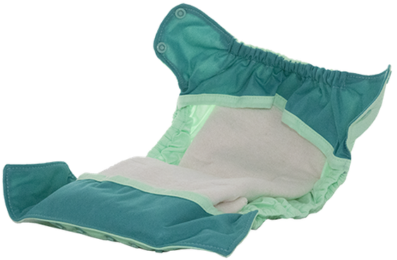 Wow0821240209blcljlllml - Diaper (570x570), Png Download