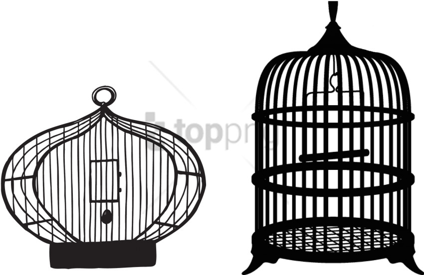 Free Png Bird Cage Transparent Background Png Image - Transparent Bird Cage Png (850x552), Png Download