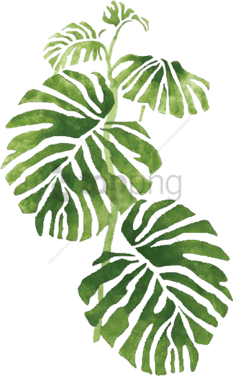 Free Png Transparent Tropical Png Image With Transparent - Tropical Leaves Transparent (480x777), Png Download