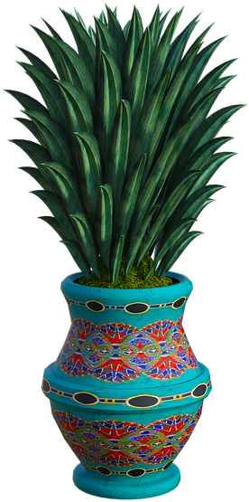 Tropical Plant Vase Colorful Nature Green Leaves - Flowerpot (720x720), Png Download