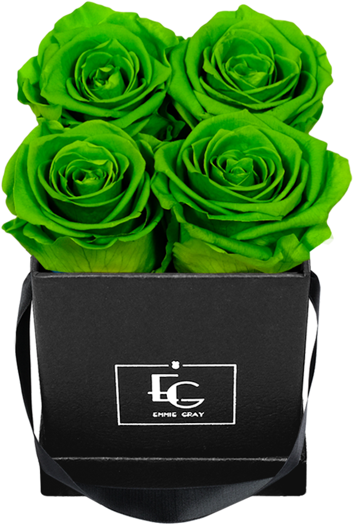 Classic Infinity Rosebox - Garden Roses (1150x1147), Png Download