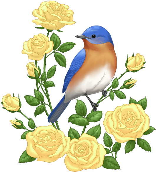 Bleed Area May Not Be Visible - Blue Bird And Rose (600x666), Png Download