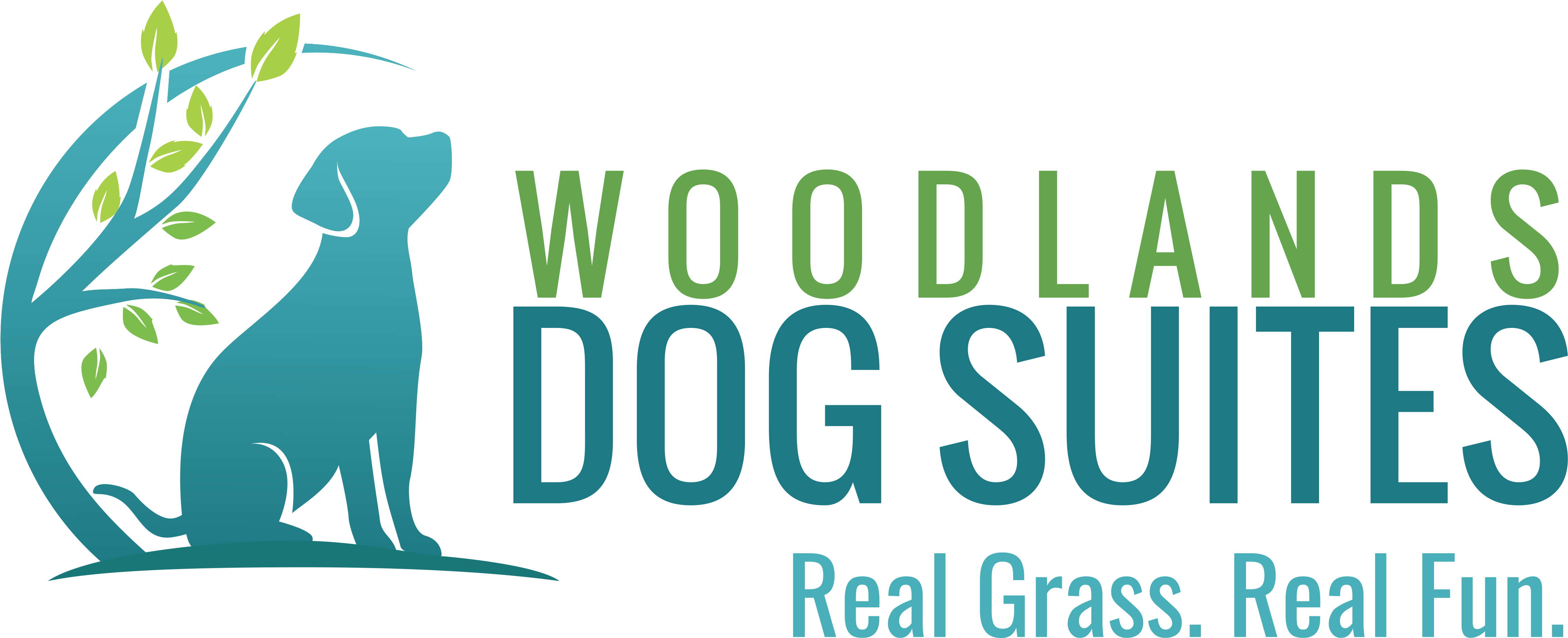 Tagline For Kennels (4840x2204), Png Download