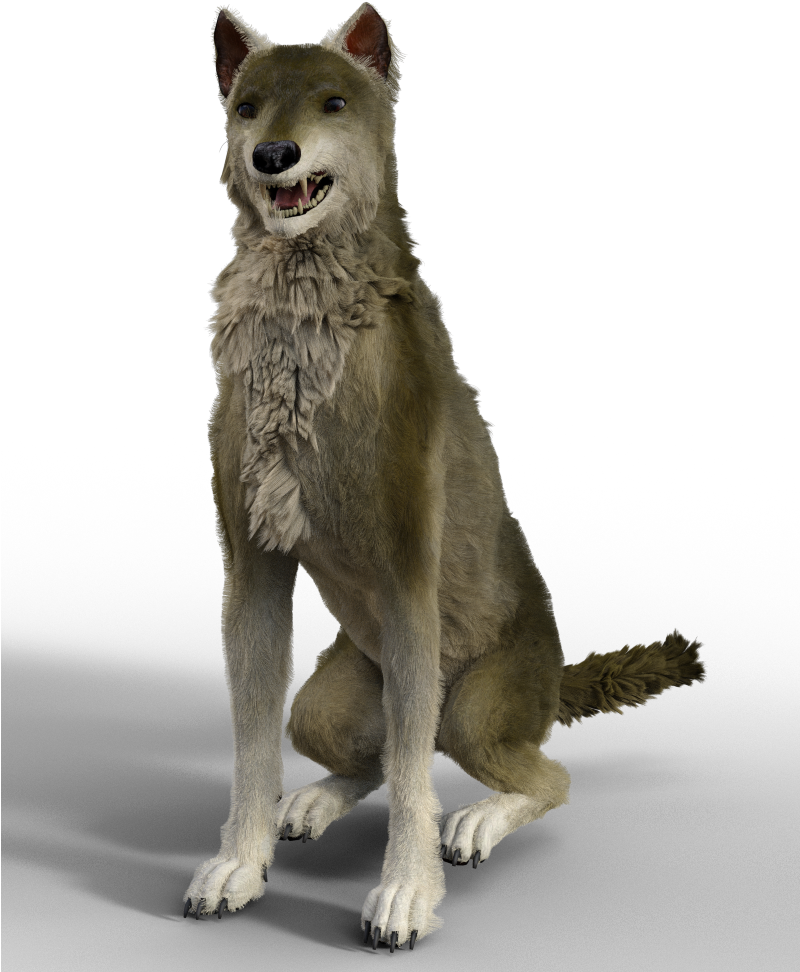 Wolfdog - Dog Yawns (799x999), Png Download