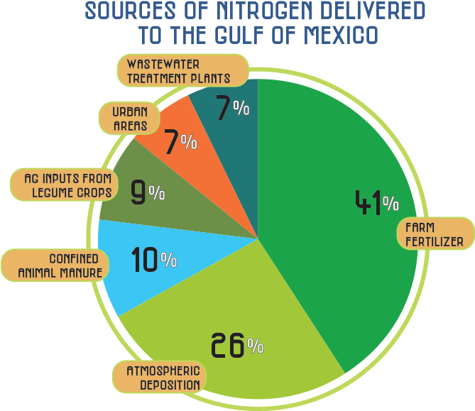Fertilizer Is The Single Largest Source Of Nitrogen - Sources Of Nitrogen Delivered To The Gulf (700x600), Png Download