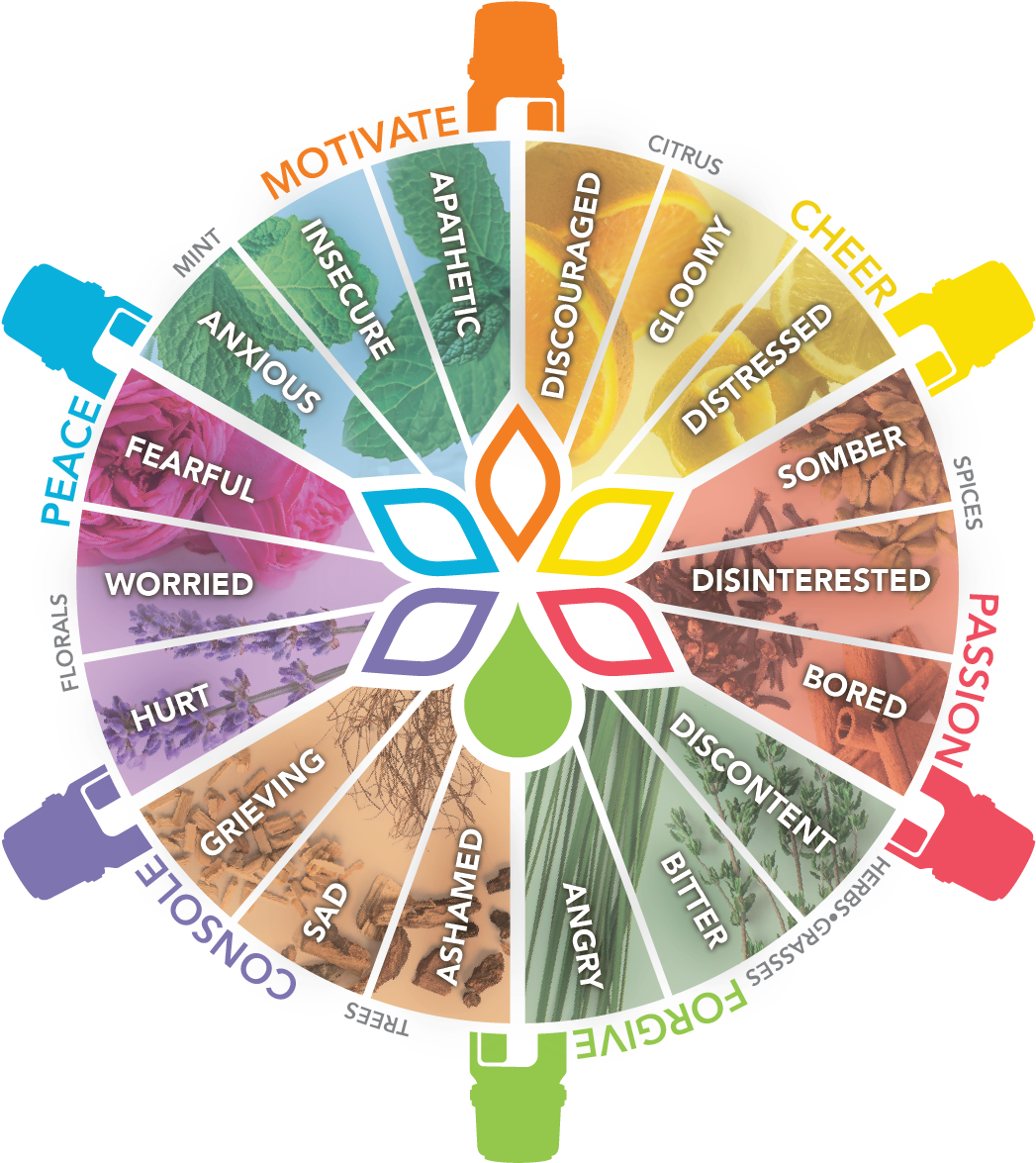 Essential Happiness Free Samples, Doterra Blends, Doterra - Doterra Aromaterapia Emocional (1200x1200), Png Download