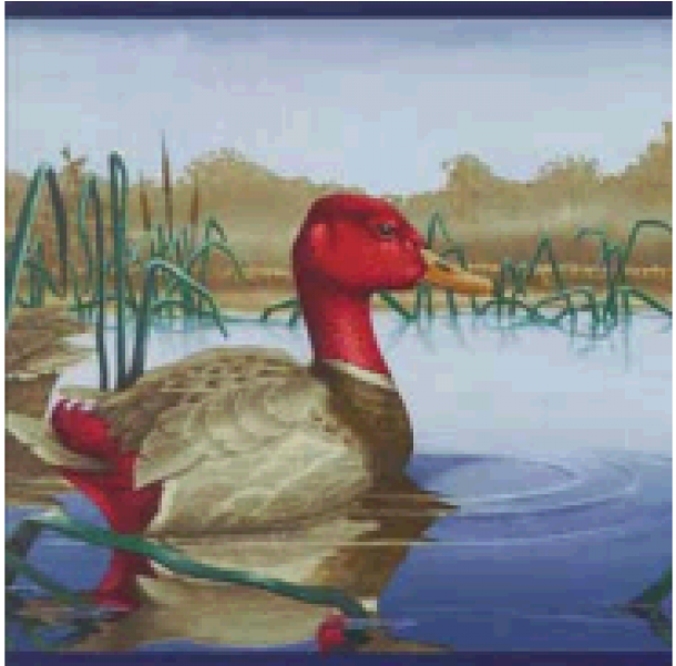 Baby Ducks Mallard Waterfowl - Mallard (1000x600), Png Download