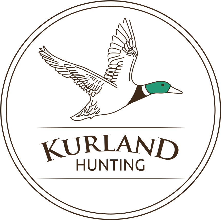 Logo Logo Logo Logo Logo - Mallard (884x884), Png Download