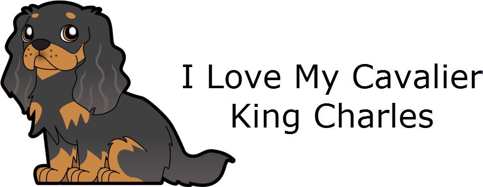My Cavalier King Charles (1090x370), Png Download