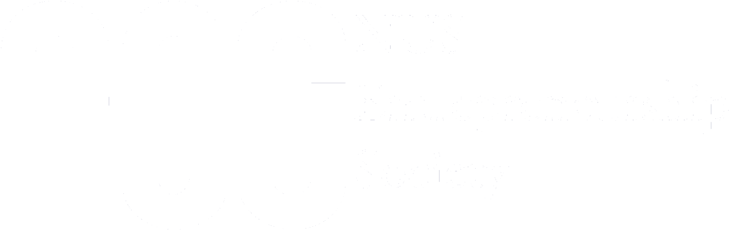 Nes Logo Png - Niagara Falls (1500x484), Png Download