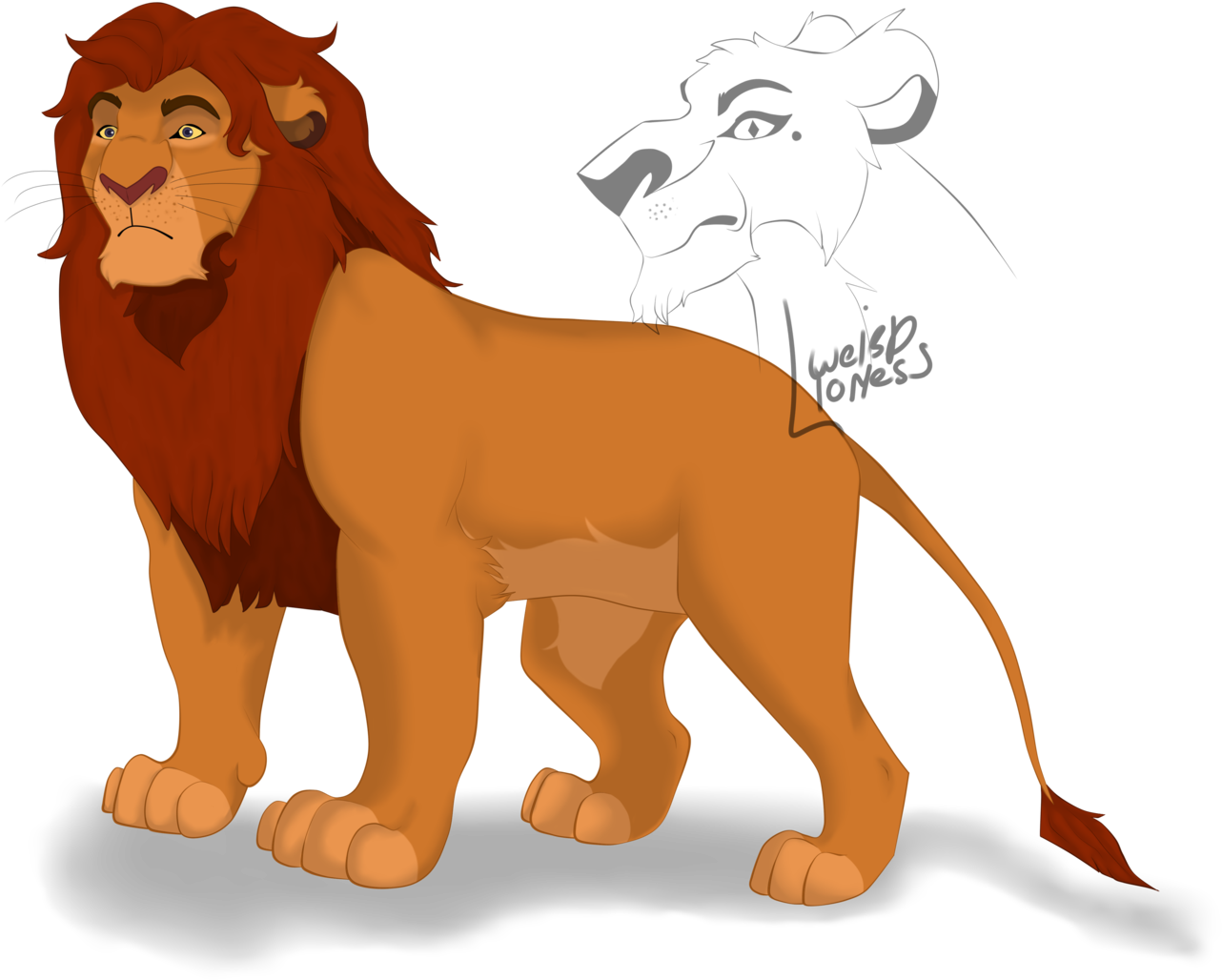 Go To Image - Masai Lion (1600x1200), Png Download