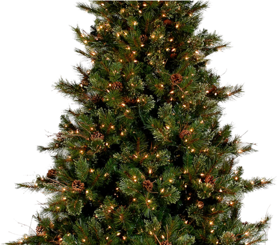 Fir-tree Png Transparent Images - Small Christmas Tree Png (640x480), Png Download