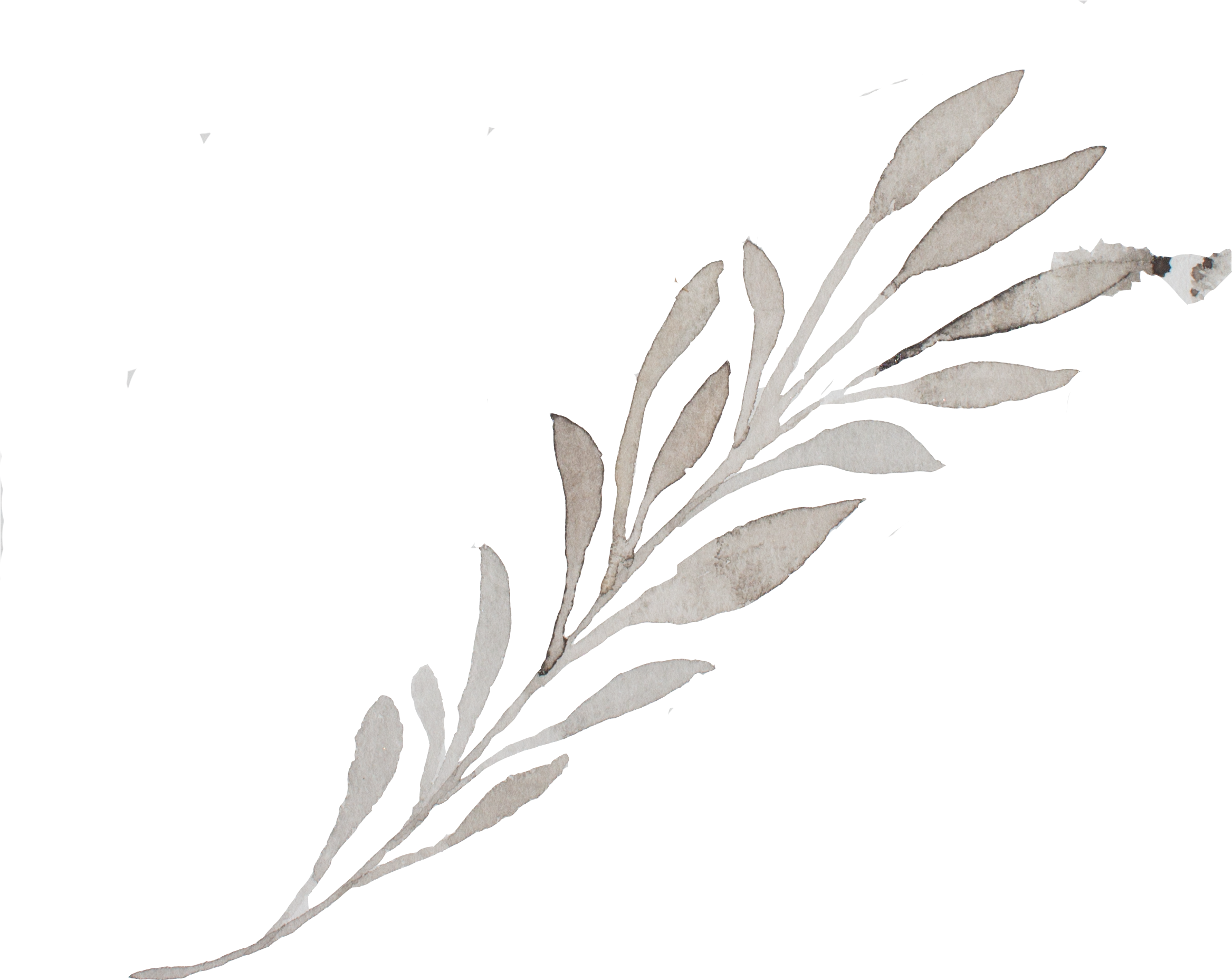 Twig (2611x2169), Png Download