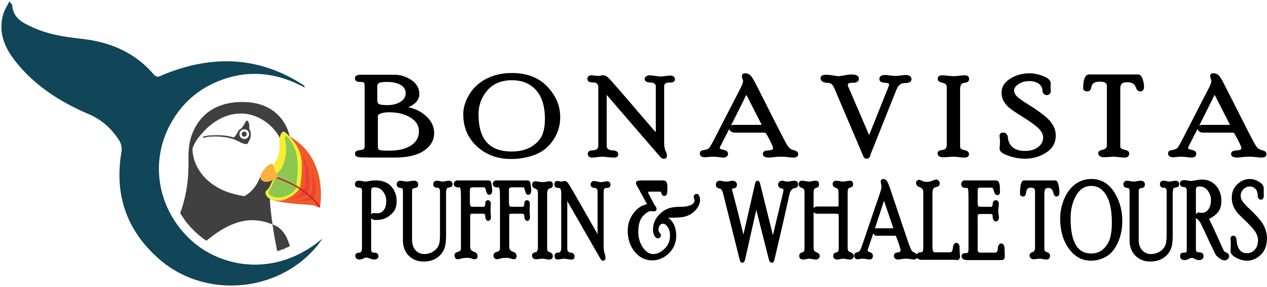 Book Your Adventure Today - Human Action (4601x1162), Png Download