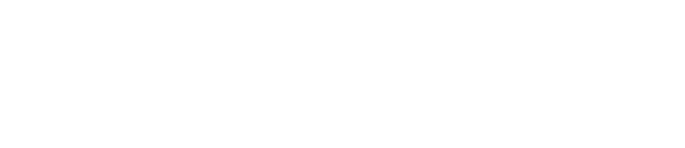 Gemini Png (1000x217), Png Download