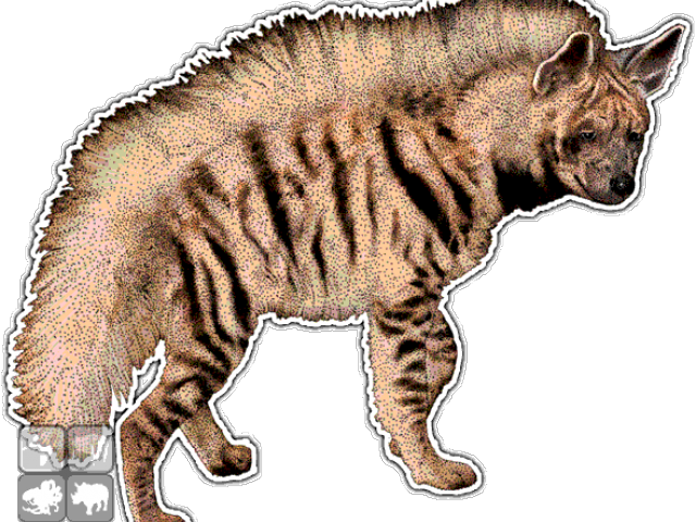 Hyena Clipart Mammal - Hyena Aardwolf (640x480), Png Download