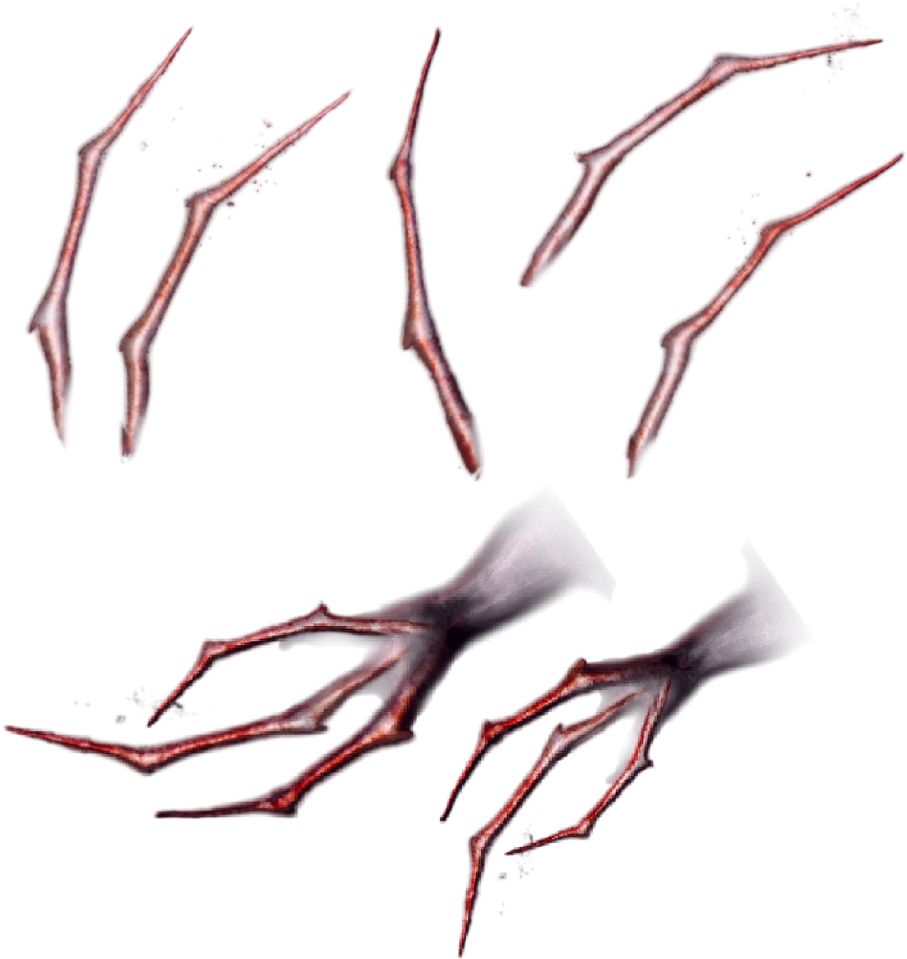 Claws Png - Sketch (1024x1096), Png Download