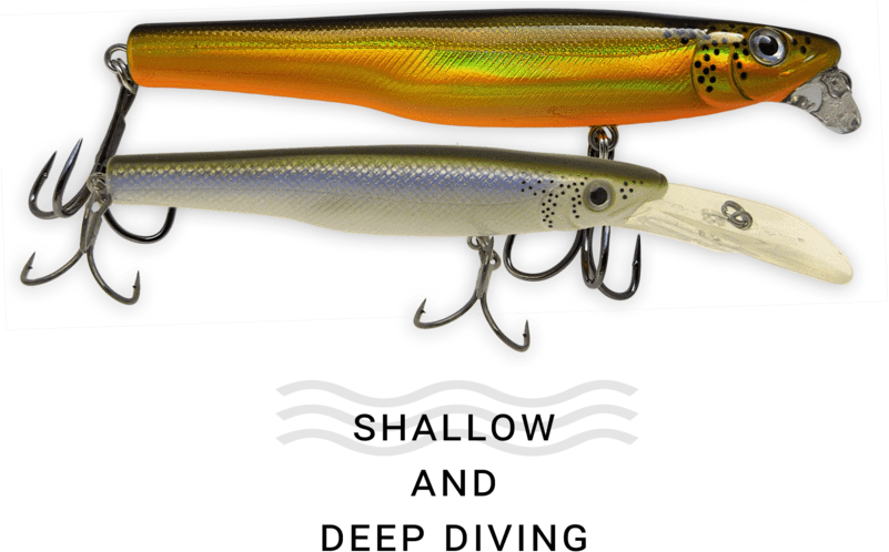 American Smelt - Fish Hook (800x526), Png Download