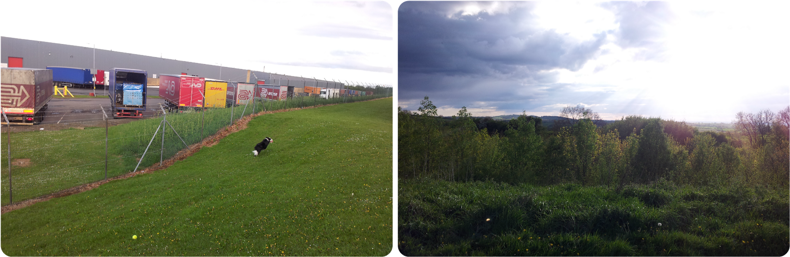 Axa Ppp Healthcare Are Holding A Live Chat Where Health - Grass (1600x533), Png Download