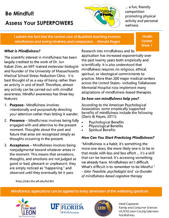 Click For A Pdf Version - Folio Four From Burchard Of Sion's De Locis Ac Mirabilibus (555x700), Png Download