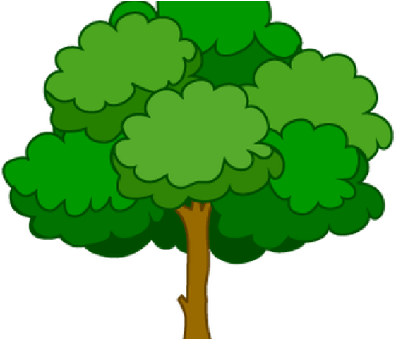 Larger Clipart Mango Tree - شجرة كليب ارت (640x480), Png Download