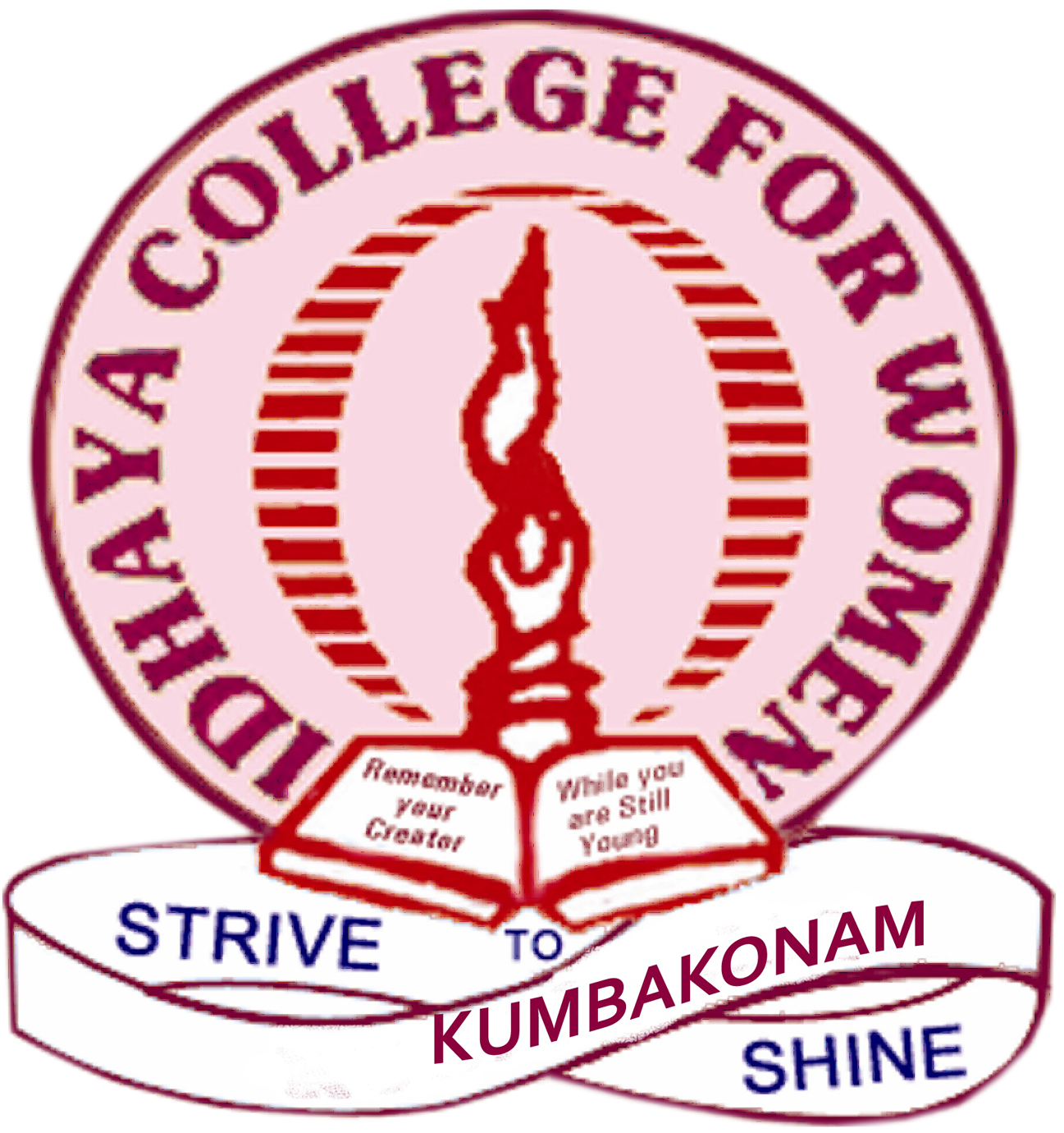 Carvão Para Churrasco (1306x1400), Png Download