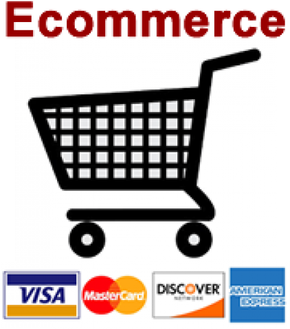 Visa (600x677), Png Download