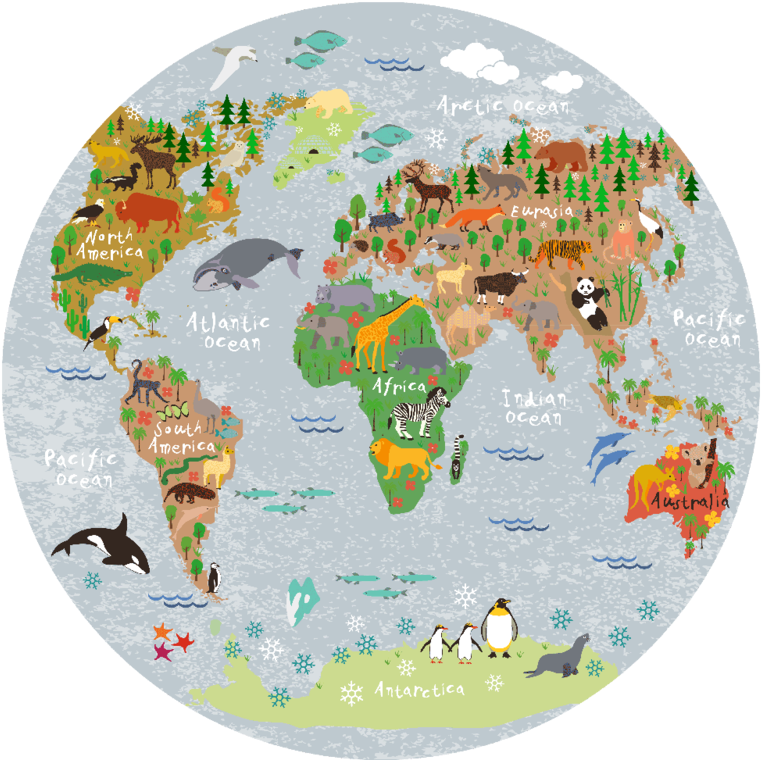 World Map Round Picture - Cartoon World Map Round (800x800), Png Download