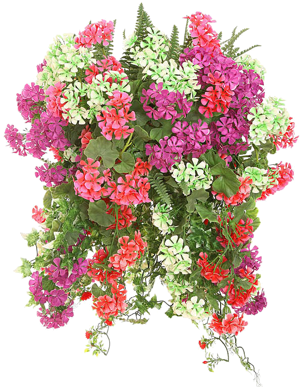 Photo Summer - Hanging Flower Baskets (597x770), Png Download