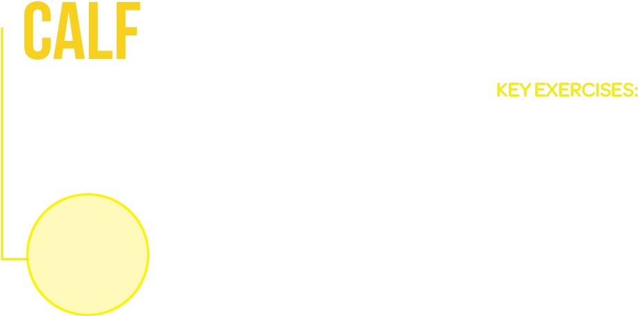 “a Few Minutes Of Playing Around With This Odd Looking - Circle (956x490), Png Download