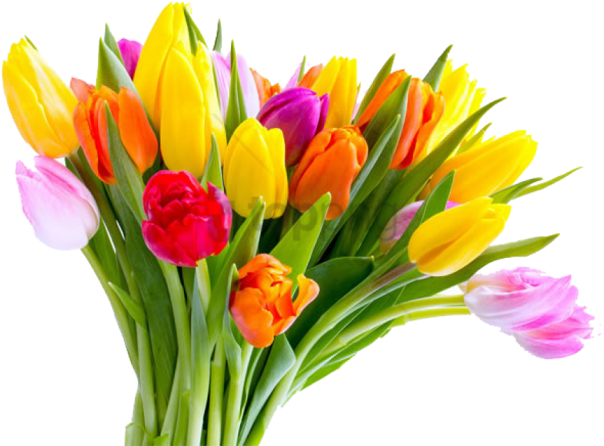 Free Png Download Mothers Day Tulip Flower Bouquet - High Resolution Flower Bouquet Images Hd (850x628), Png Download