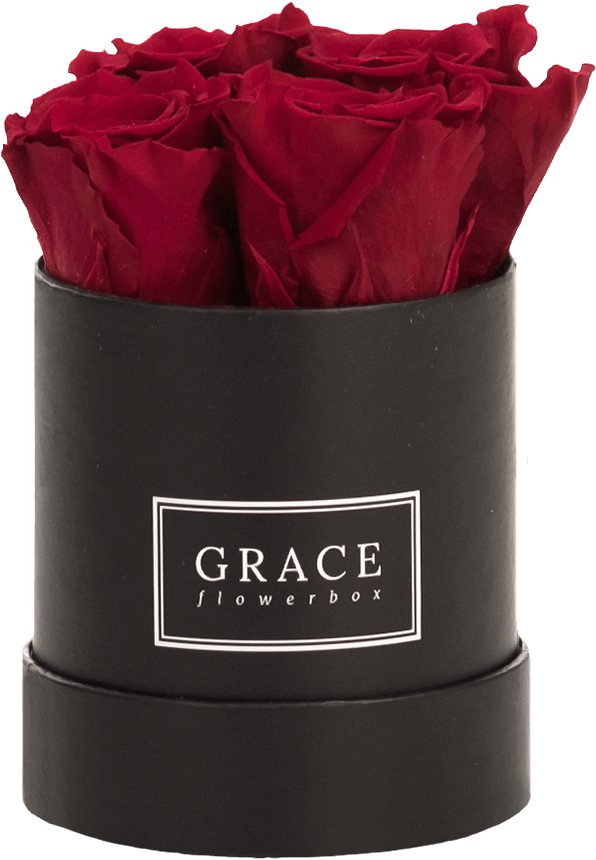 Garden Roses (865x1200), Png Download