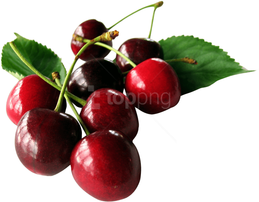 Free Png Download Cherries With Leaf Png Images Background - Cherry Png (850x688), Png Download
