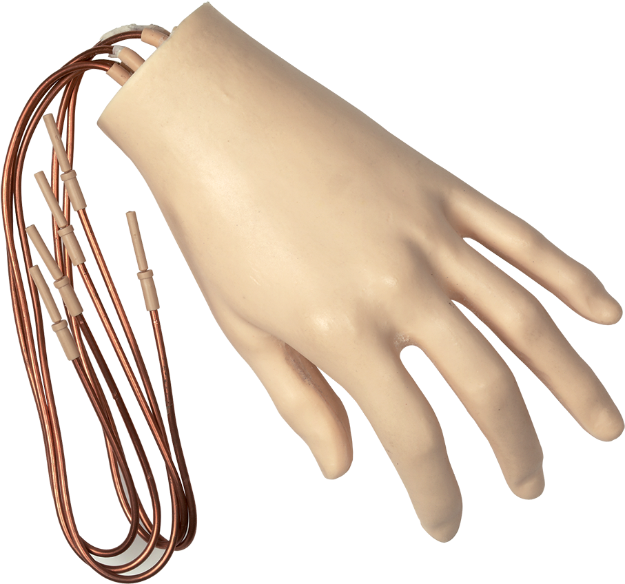 Foam Hand With Extended Wires - Leather (1200x1200), Png Download