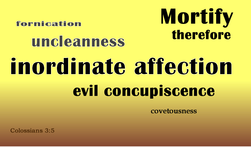 Homosexualism Is A Sin Against Faith - Colorfulness (807x474), Png Download