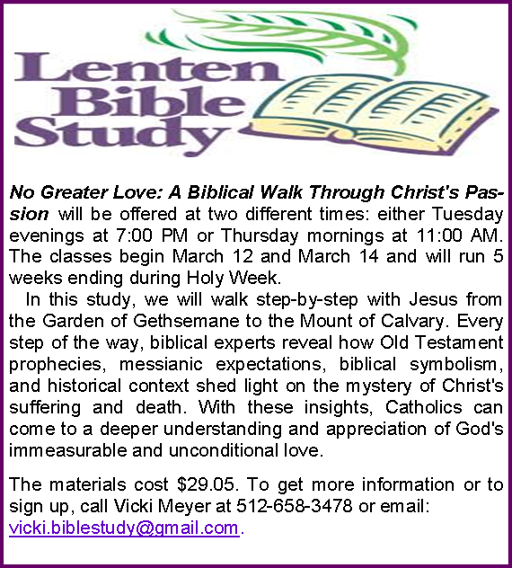 Bible Study - Lilac (570x632), Png Download