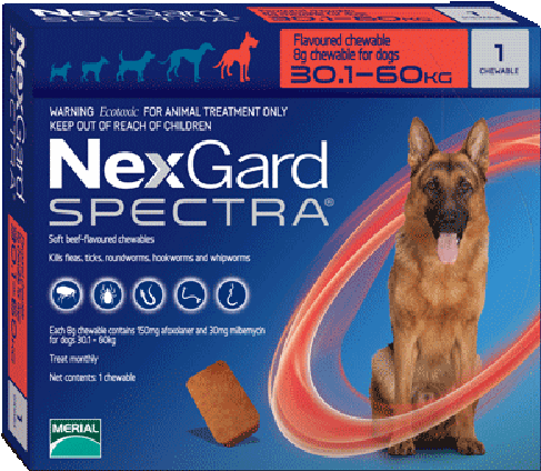 Nexgard Spectra Flea Tick & Worm Chewable Treatment - Nexgard Spectra 15 30kg (750x750), Png Download