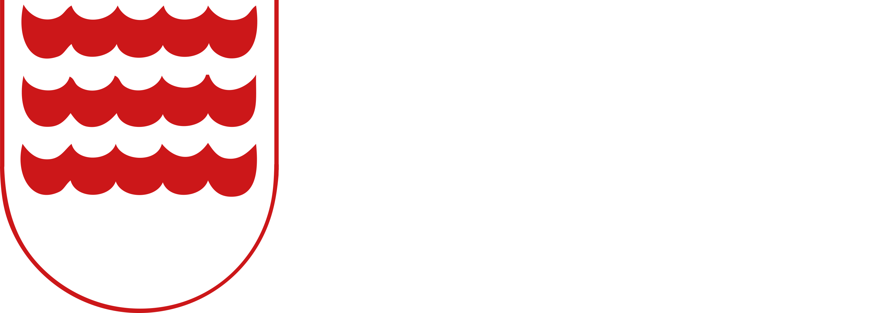 Subscribe To Our Newsletter By Entering Your Email (3088x1083), Png Download