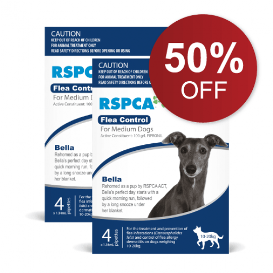 *special Offer 50% Off When You Buy 2 Packs - Dog (540x740), Png Download