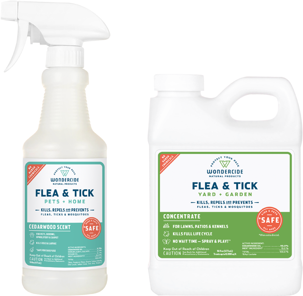 Bottle (700x700), Png Download