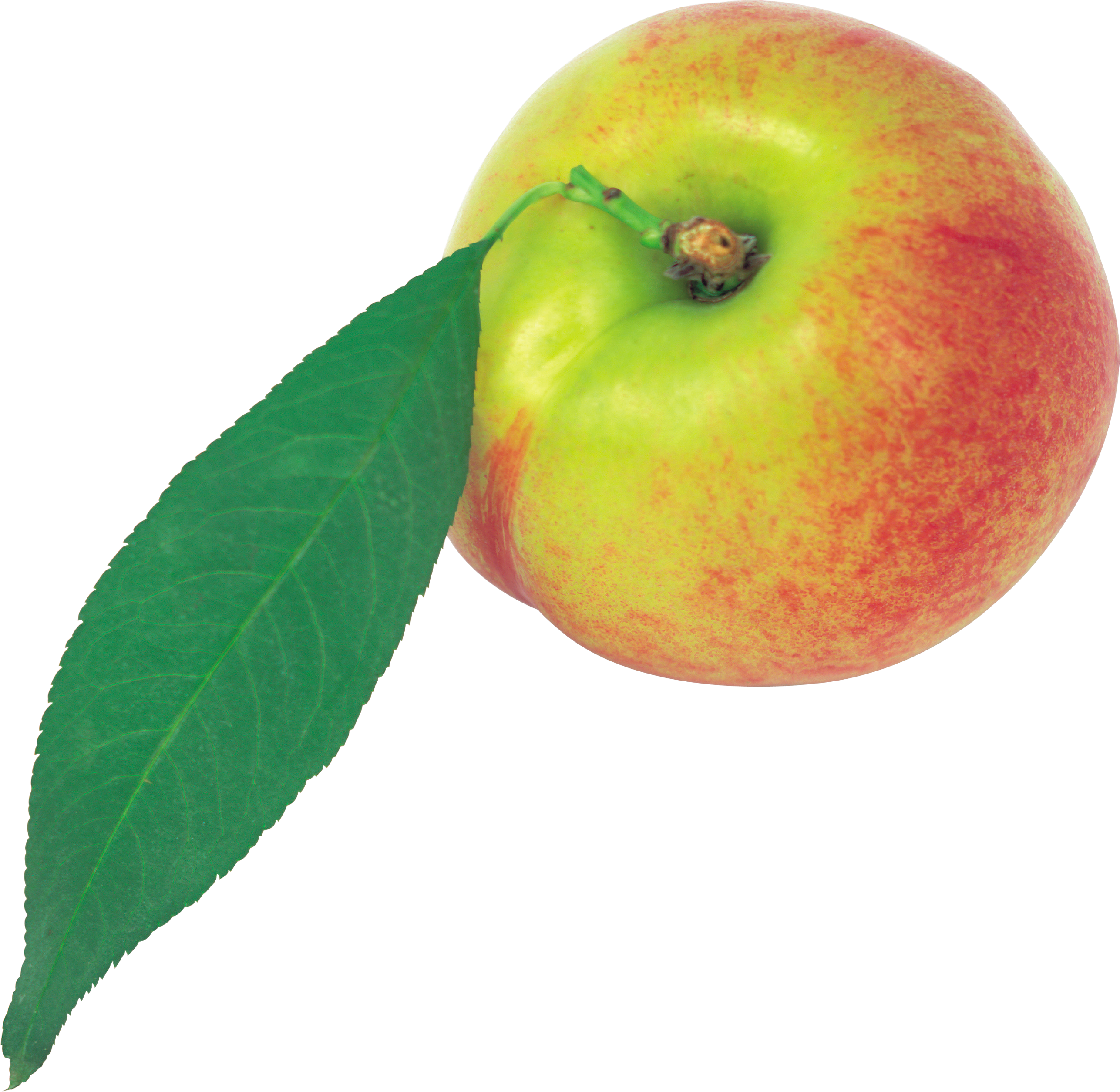 Peach (2573x2508), Png Download