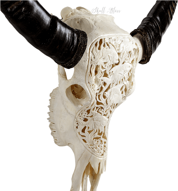 Carved Buffalo Skull - Horn (645x645), Png Download