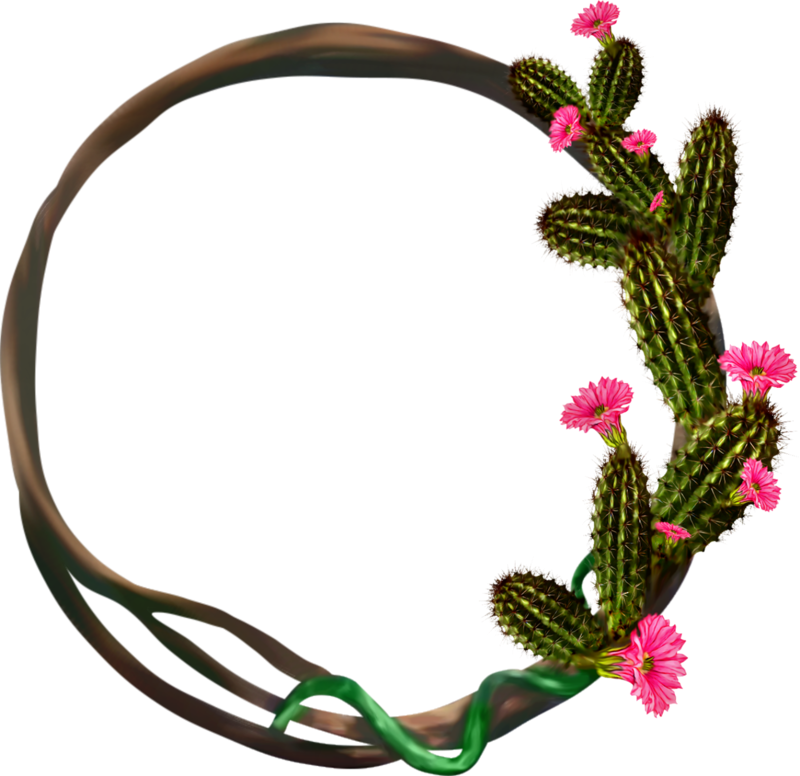 Cactus Frames - Floral Design (800x776), Png Download