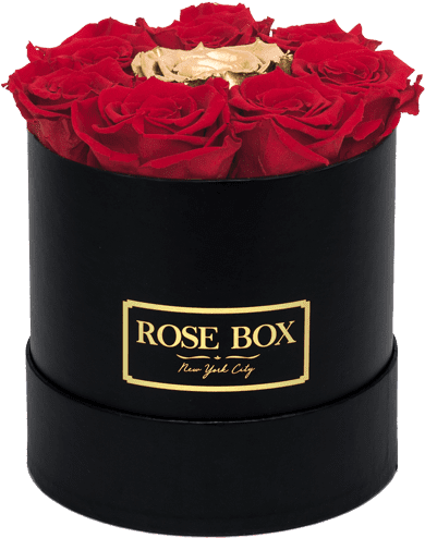Prev - Garden Roses (800x800), Png Download