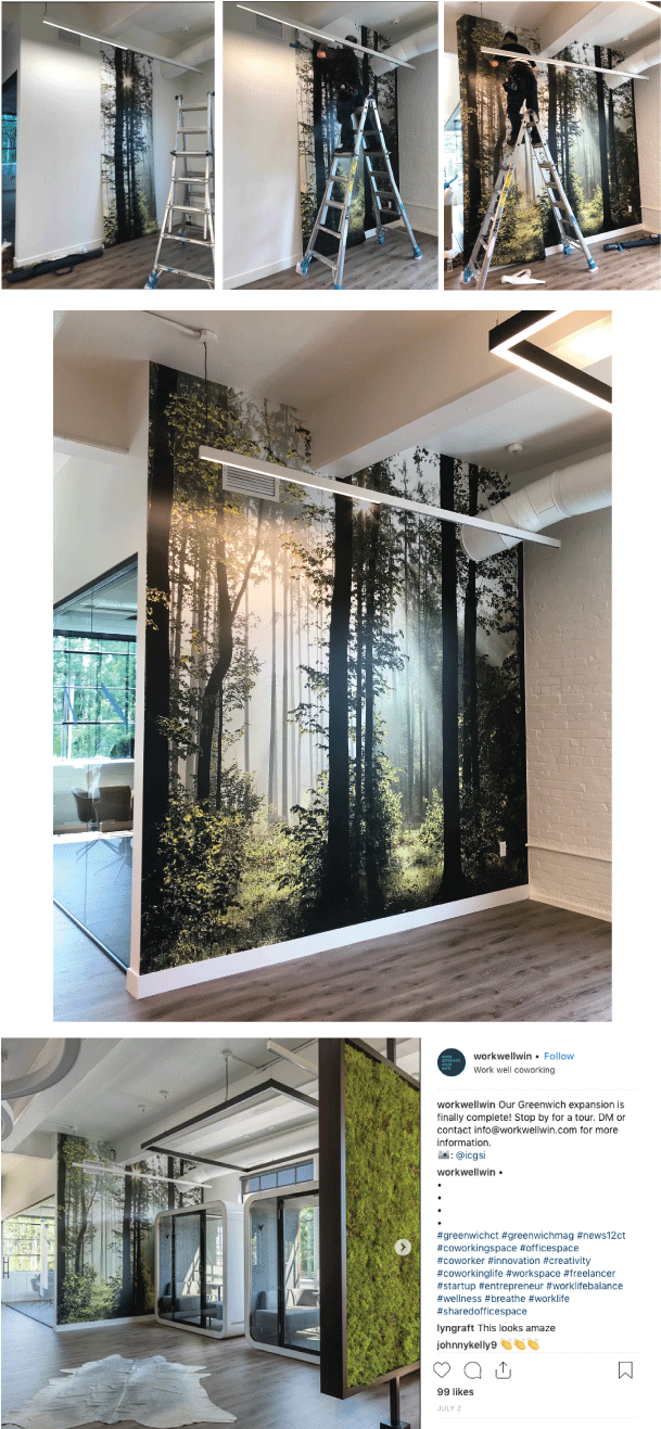 Forest Wall Post - Window Film (612x1332), Png Download