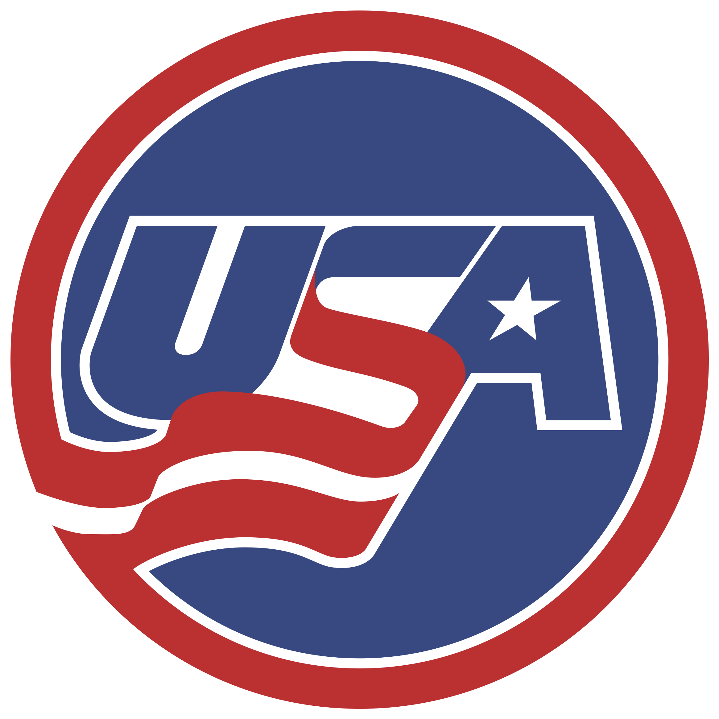 Usa Hockey Logo Png Transparent - Usa World Juniors Logo (2400x2400), Png Download